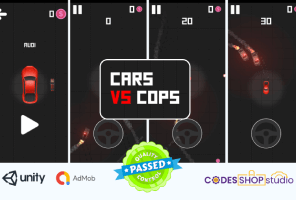 Car vs Cops game