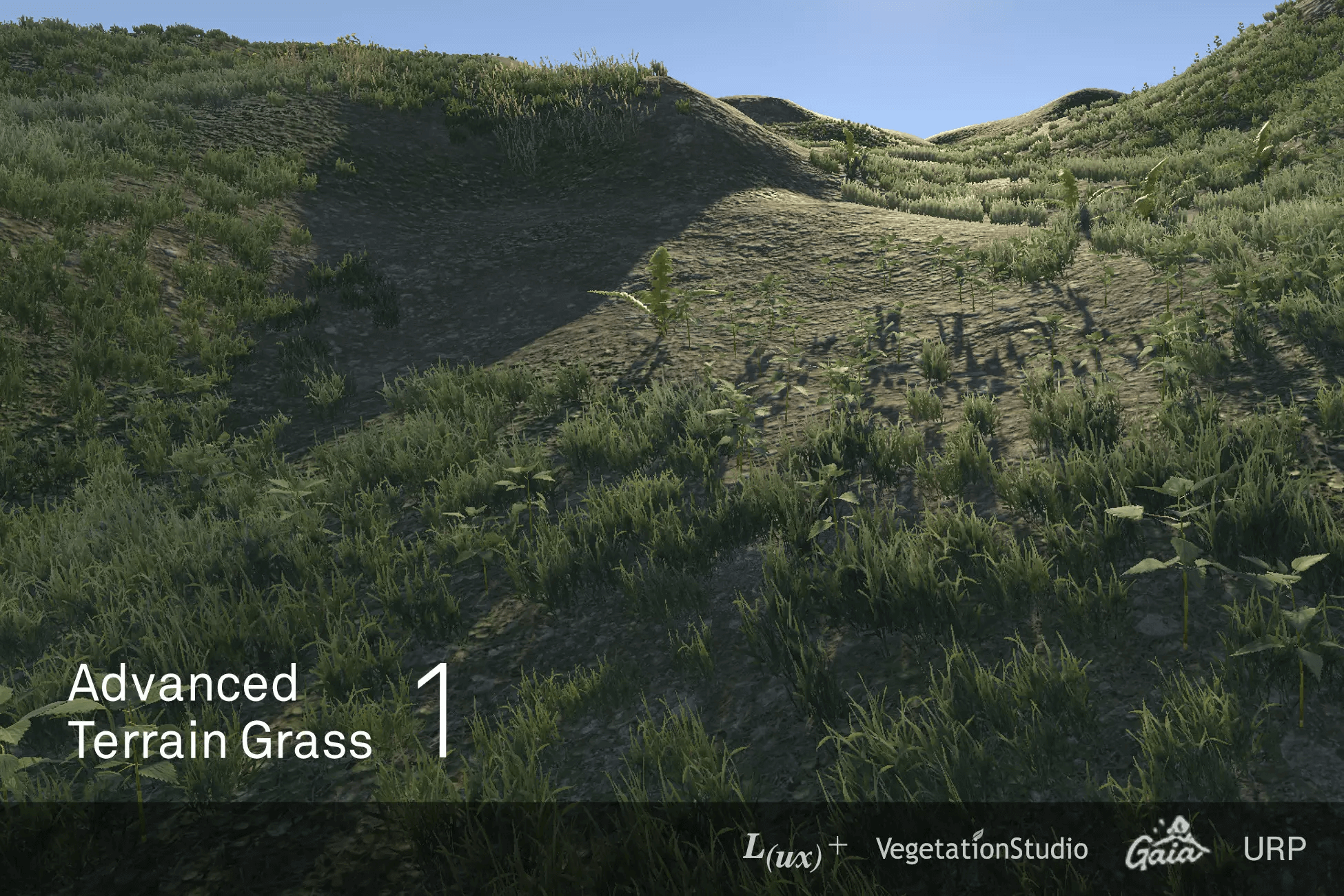 Download Advanced Terrain Grass for free